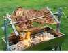 electric and charcoal rotisserie grill