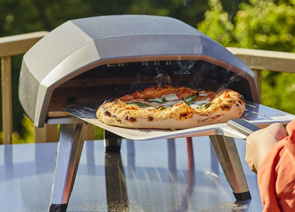 Premium Gas Pizza Oven 